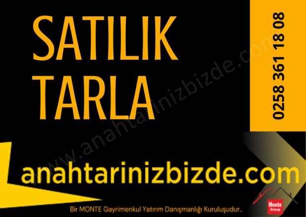 Kasaplar Mah. Koçarlı Satılık Tarla |  8500M2 2.800.000Tl Resim-2