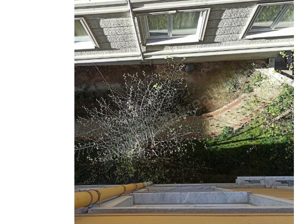 Yakuplu Mah. Beylikdüzü Satılık İkinci El Daireler |  2+1 Oda | 90M2 100.500$  Krediye Uygun  | 2. Kat | Doğalgaz(Kombi) | 1 Banyo | 2 Yatak Odası Resim-3