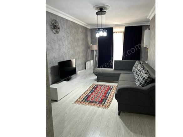 Paşa Mah. Şişli Satılık İkinci El Daireler |  1+1 Oda | 60M2 96.000$  Krediye Uygun  Eşyalı  | Zemin Kat | Doğalgaz(Kombi) | 1 Banyo | 1 Yatak Odası Resim-1