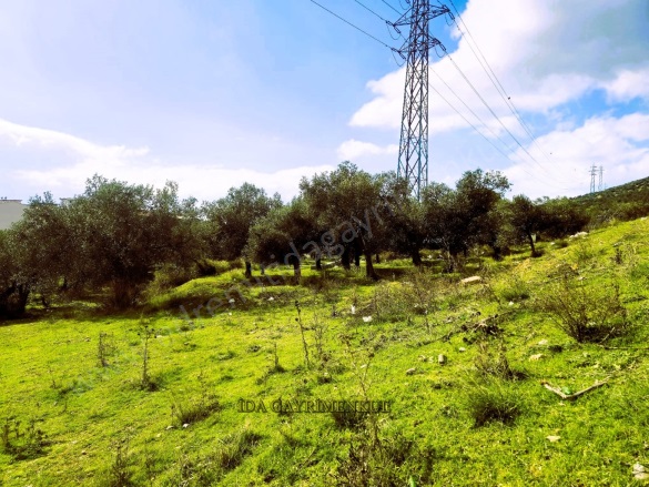 Hekimzade Mah. Edremit Satılık Arsa |  683M2 5.950.000Tl İmarlı  Resim-2