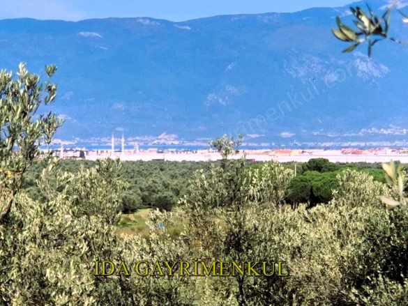 idadan Burhaniye Merkez Dibi Deniz Gören Asfalt Cephe Satılık Zeytinlik Bahadınlı Mah