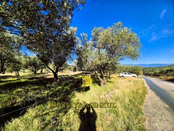 idadan Burhaniye Merkez Dibi Deniz Gören Asfalt Cephe Satılık Zeytinlik Bahadınlı Mah