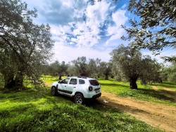 Gömeç Karaağaç Mah. Satılık Zeytinlik 518 M2