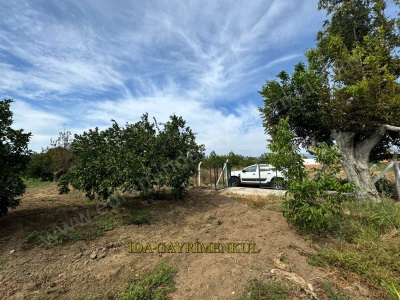 İdadan Havran Tekkede Kadastro Yola Cephe Düz Taban Satılık Tarla Tekke Mah