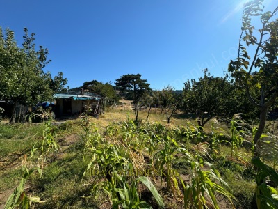 İda Gayrimenkulden Havran Kalabakta Yaşam Alanlarının İçinde Satılık Tarla Kalabak Mah