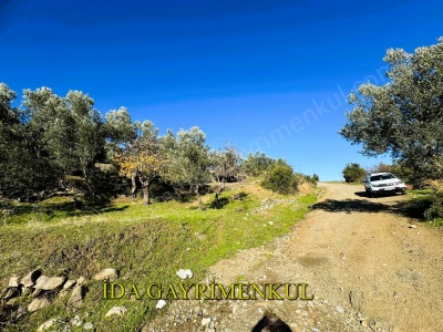 İda Gayrimenkulden Havran Kalabak Köy Dibinde Önü Açık Çok Şirin Satılık Zeytinlik Mah