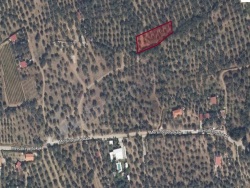 Selçuk Gökçealan Mah. Satılık Arazi 1322 M2