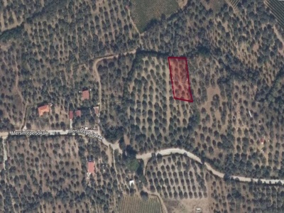 İzmir Selçuk Burgaz Köyünde Satılık Arazi 1221 M² … Gökçealan Mah