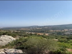 Yenişehir Kocahamzalı Mah. Satılık Tarla 3519 M2