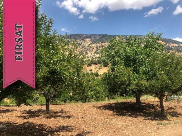 Küçüknacar Mah. Dulkadiroğlu Satılık Bağ |  9500M2 0Tl İmarlı  Resim-1