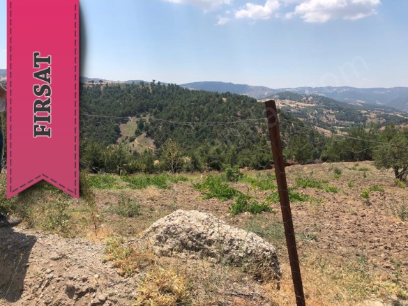 Küçüknacar Mah. Dulkadiroğlu Satılık Bağ |  9500M2 0Tl İmarlı  Resim-2