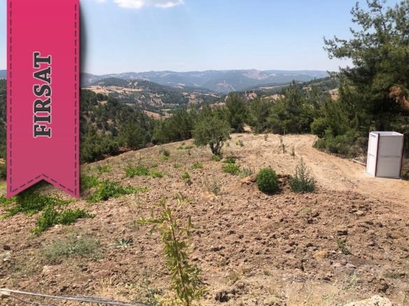 Küçüknacar Mah. Dulkadiroğlu Satılık Bağ |  9500M2 0Tl İmarlı  Resim-3