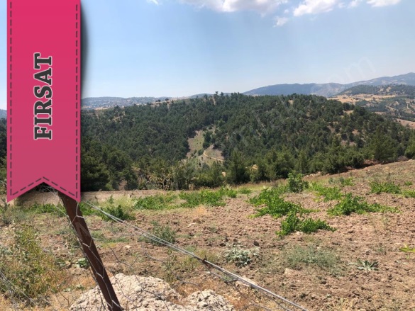 Küçüknacar Mah. Dulkadiroğlu Satılık Bağ |  9500M2 0Tl İmarlı  Resim-4