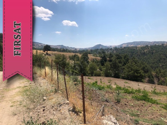 Küçüknacar Mah. Dulkadiroğlu Satılık Bağ |  9500M2 0Tl İmarlı  Resim-5