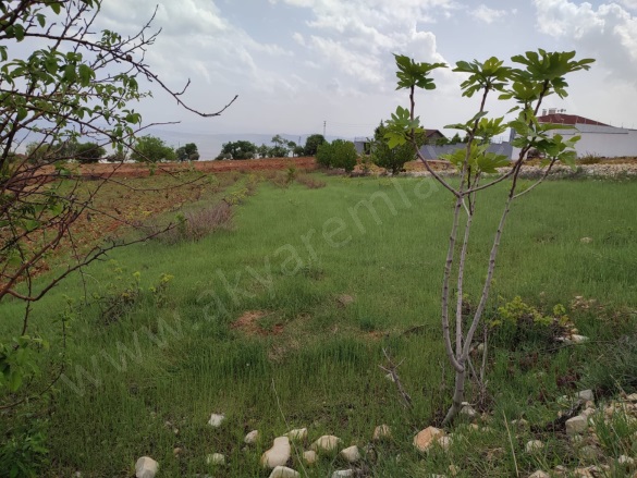 Ayaklıcaoluk Mah. Dulkadiroğlu Satılık Bağ |  1080M2 0Tl Resim-2