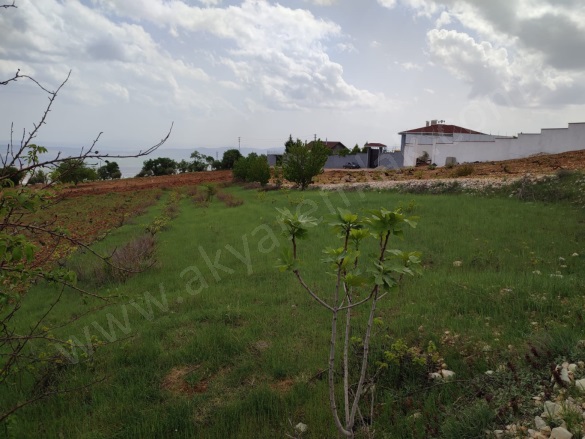 Ayaklıcaoluk Mah. Dulkadiroğlu Satılık Bağ |  1080M2 0Tl Resim-3