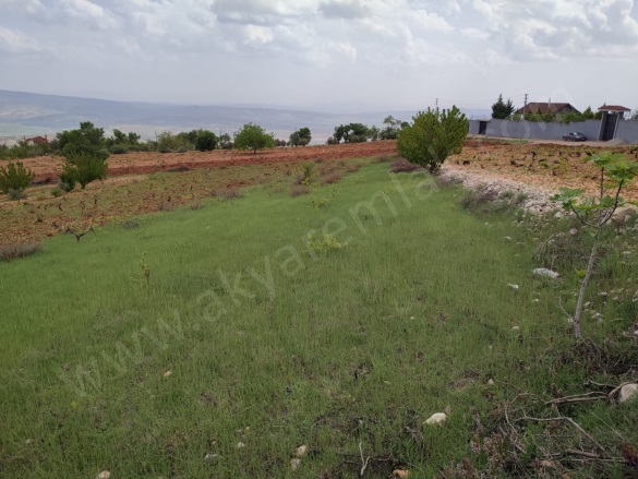 Ayaklıcaoluk Mah. Dulkadiroğlu Satılık Bağ |  1080M2 0Tl Resim-4