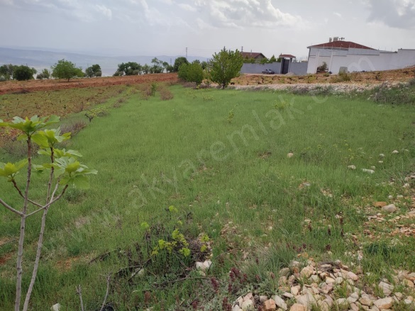 Ayaklıcaoluk Mah. Dulkadiroğlu Satılık Bağ |  1080M2 0Tl Resim-5