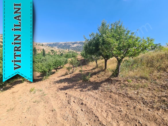 Beşenli Mah. Dulkadiroğlu Satılık Bağ |  1500M2 0Tl Resim-1