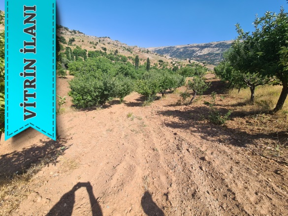 Beşenli Mah. Dulkadiroğlu Satılık Bağ |  1500M2 0Tl Resim-2