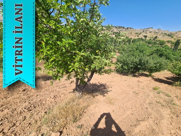 Beşenli Mah. Dulkadiroğlu Satılık Bağ |  1500M2 0Tl Resim-4