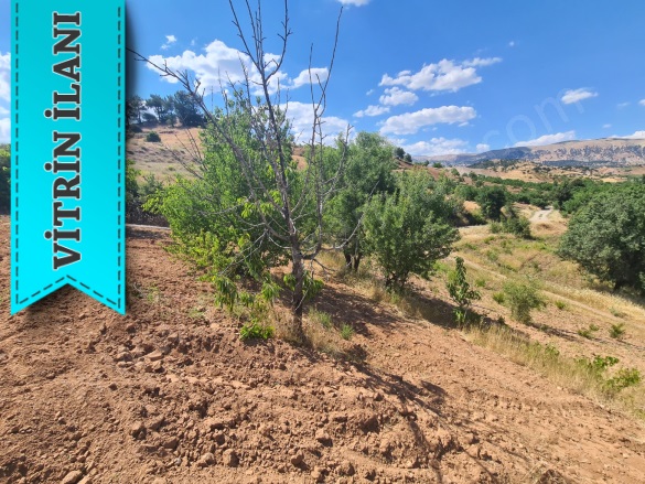 Beşenli Mah. Dulkadiroğlu Satılık Bağ |  1500M2 0Tl Resim-5