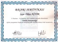 Emlak Danışmanlığı Başarı Sertifikası
