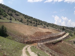 Onikişubat Sarıçukur Mah. Satılık Bağ 5250 M2