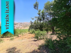 Çağlayancerit Bölükdamlar Mah. Satılık Ceviz Bahçesi 15600 M2