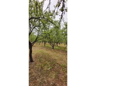  For Sale in  Turkey, Kahramanmaras, Dulkadiroglu, Yusufhacili neighborhood , 13000 m2