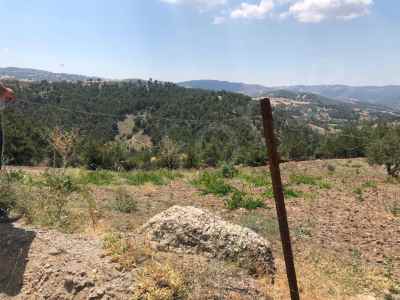  For Sale in  Turkey, Kahramanmaras, Dulkadiroglu, Kucuknacar neighborhood , 9500 m2