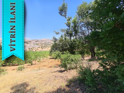 Akyar Emlakdan Bölükdamlar Beşenli Sınırında Muhteşem Cevizlik Satılık Ceviz Bahçesi Çağlayancerit Mah