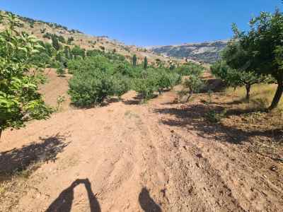  For Sale in  Turkey, Kahramanmaras, Dulkadiroglu, Besenli neighborhood , 1500 m2