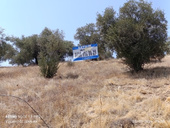 Karaçakal Mah. Yenipazar Satılık Tarla |  8532M2 2.250.000Tl Resim-2