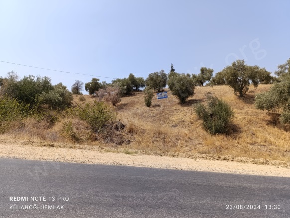 Karaçakal Mah. Yenipazar Satılık Tarla |  8532M2 2.250.000Tl Resim-3