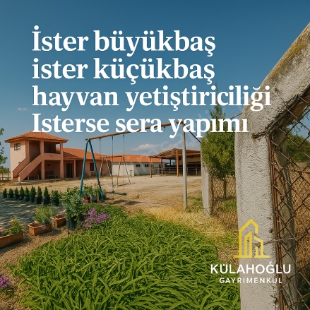 Ada Mah. Sarayköy Satılık Çiftlik |  3+1 Oda | 51550M2 55.000.000Tl  Krediye Uygun  | Komple Bina | Soba | 2 Banyo | 2 Yatak Odası Resim-3