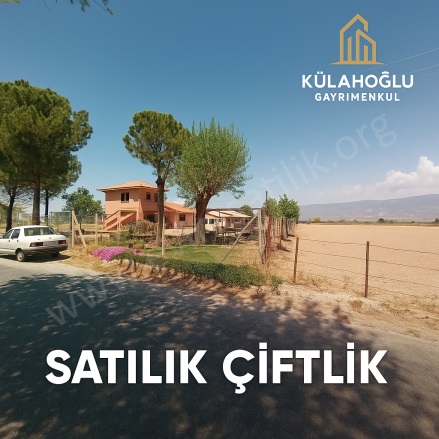 Ada Mah. Sarayköy Satılık Çiftlik |  3+1 Oda | 51550M2 55.000.000Tl  Krediye Uygun  | Komple Bina | Soba | 2 Banyo | 2 Yatak Odası Resim-4
