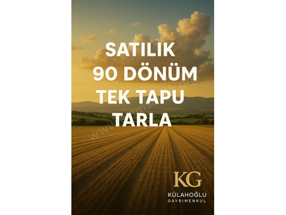 Gözler Mah. Pamukkale Satılık Tarla |  90385M2 20.000.000Tl Resim-3