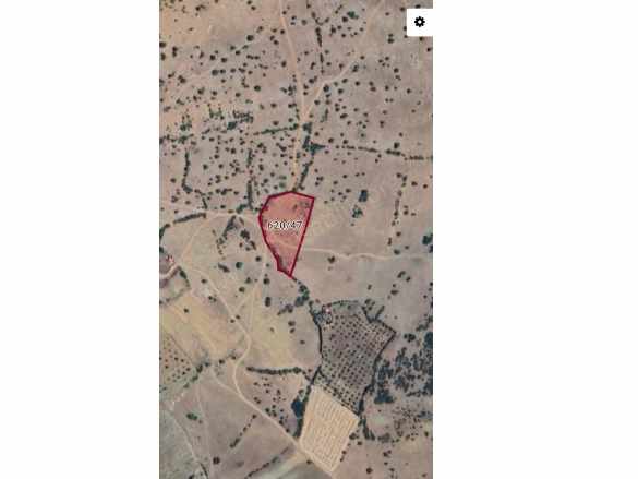 Denizli Acıpayam Alaattin De Satılık Tarla Detaylı Açıklamada Mah Külahoğlu Gayrimenkul