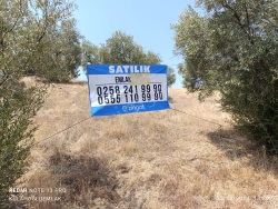 Yenipazar Karaçakal Mah. Satılık Tarla 8532 M2