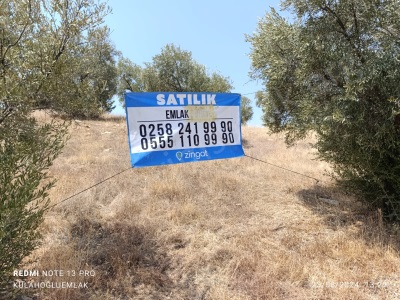 Aydın Yenipazar Karaçakal Yakını Satılık Tarla Zeytinlik Mah Külahoğlu Gayrimenkul