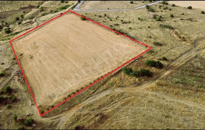 Kurşak Mah. Tire Satılık Tarla |  10588M2 3.850.000Tl Resim-3