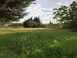 Urla Uzunkuyu Mah. Satılık Arsa 4500 M2