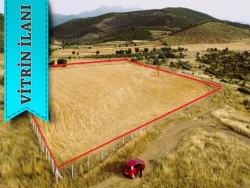 Tire Kurşak Mah. Satılık Tarla 10588 M2