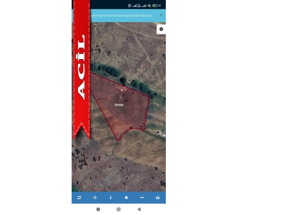 Samut Mah. Akyurt Acil Satılık Tarla |  146M2 40.976Tl Resim-2