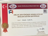 ARABULUCULUK