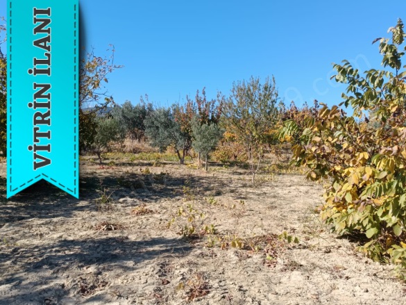 Yukarıkalamış Mah. Şarköy Satılık Bağ |  1250M2 1.300.000Tl Resim-4