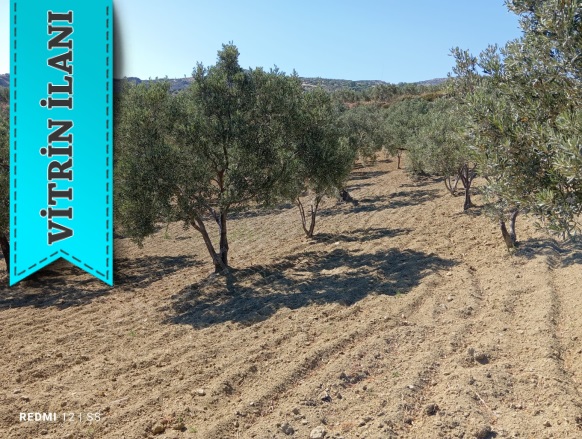 Tepeköy Mah. Şarköy Satılık Arazi |  4300M2 3.350.000Tl Resim-4