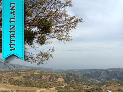 Full Deniz Manzaralı Burak Emlaktan Satılık Bağ Şarköy Tepeköy Mah