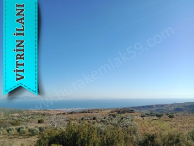 Full Deniz Manzaralı Burak Emlaktan Satılık Bağ Şarköy Tepeköy Mah